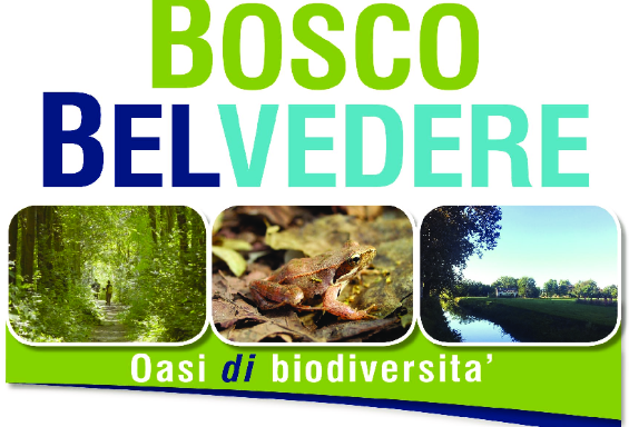 Piave Servizi e la biodiversità - Il Bosco di Meolo