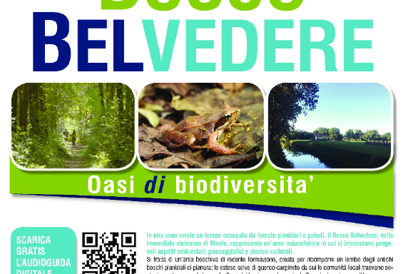 Bosco, EcoCentro e impianto di depurazione: a Meolo la simbiosi uomo/ambiente diventa un tour